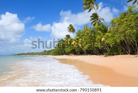 The Caribbean beach , Martinique island, French West Indies