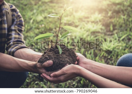 Young couple carrying a seedlings to be planted into the soil in the garden as save world concept, nature, environment and ecology. Royalty-Free Stock Photo #790269046