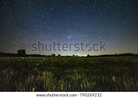 An open field littered with lightning bugs making their nightly route with the stars overhead. 