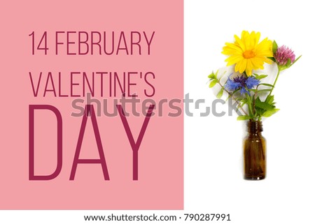 14 february valentine's day, greeting card with meadow flowers