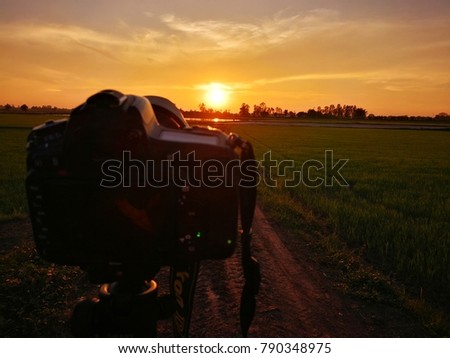 The camera with rice field in the sunset.sunset background