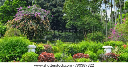 park with beautiful trees and flowers. Wide photo.