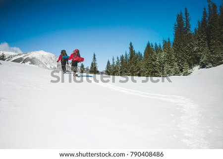 Two climbers are in the mountains in the winter against snow-covered fir trees, climbing two men with backpacks.