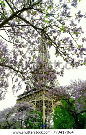 Eiffel tower in Blossom Paris France