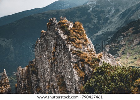 Location Carpathian national park, Ukraine, Europe. Perfect moment in alpine highlands. Scenic image of hiking concept. Awesome wallpapers. Idyllic adventure vacations. Discover the beauty of earth.
