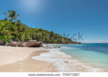 Beautiful beach with palm trees and sea wave. Summer vacation travel holiday background concept. Seychelles paradise beach. 