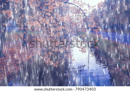 pond autumn rainy landscape / rain on an autumn pond in cloudy weather, walk through the October park, background rain texture, concept autumn picture