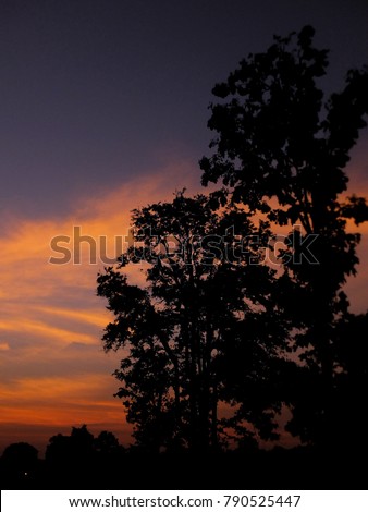 Beautiful Sunset in Kanha National Park