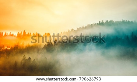Colored sunrise in forested mountain slope with fog Royalty-Free Stock Photo #790626793