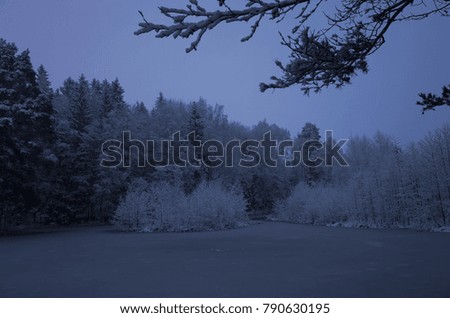Beautiful nature and landscape photo of blue dusk evening in Katrineholm Sweden Scandinavia. Nice, cold winter at christmas time. Forest and lake with snow and ice. Calm, peaceful outdoors image.