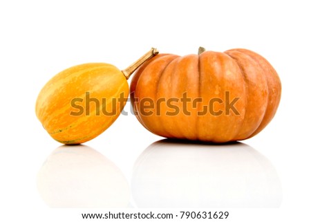 Two pumpkins isolated on white background.