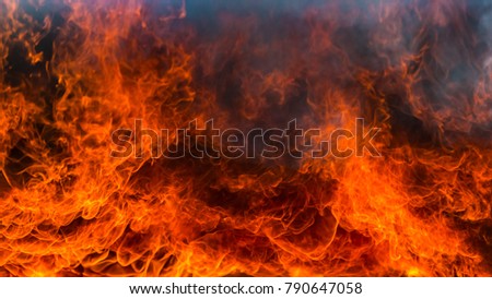Blaze fire flame texture background, Burning fire flame background.