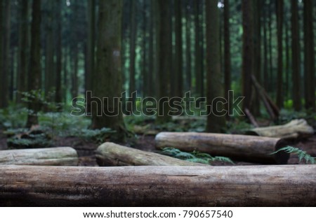 Forest Woods Outdoor Trees and Green Leaves. Tree Log Bench. Narrow Close Depth of Field. Mountains. 
