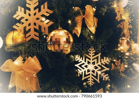 The background is bokeh and Christmas decorations.