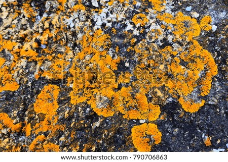 colour and texture of Tasmania sandstone