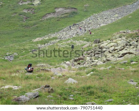valley covered with green grass with flowers in Caucasus mountains