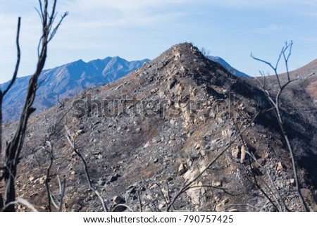Landscape damaged by the Thomas Fire along the Pratt Trail in Ojai, California