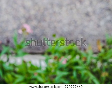 A blurry green leaf with small pink flowers on a gray background, Natural blur background