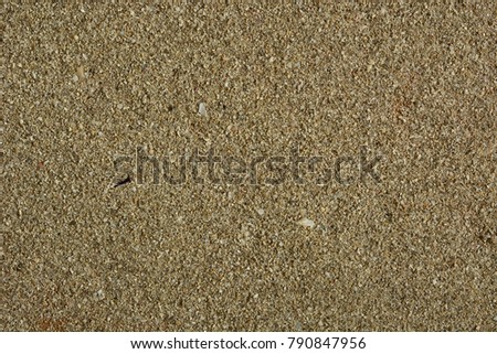 Sandy beach - Detailed sand texture - closeup