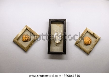 
Picture frame with shell