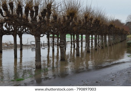Flooding rhine cologne 