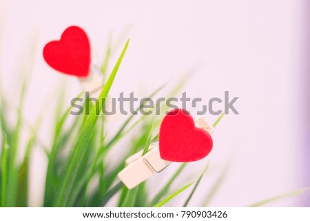 Valentine's Day, Wedding, Ecology, Save the Planet concept, wooden decorative pins with red hearts on a green plant , close up