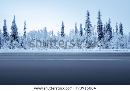 road in winter forest Royalty-Free Stock Photo #790915084