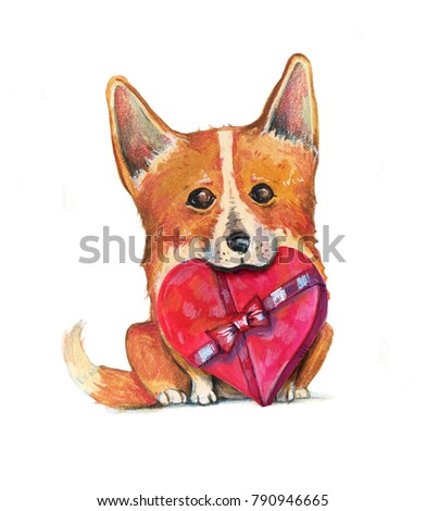 Hand drawn watercolor illustration for St Valentine's day with orange corgi dog holding heart box in his mouth