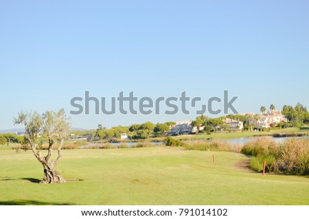 Golf course green grass field and lake trees on sunny day outdoors background