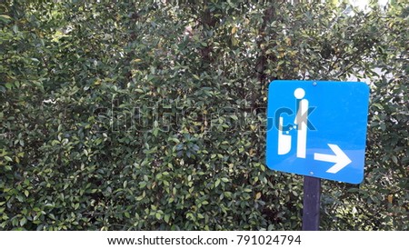 blue sign toilet men tree background wc