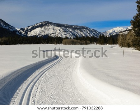 A groomed cross country ski trail on a sunny February day.