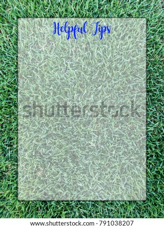 HELPFUL TIPS copy space with green grass background