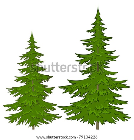 Trees, vector, christmas green fur-trees, isolated on a white background