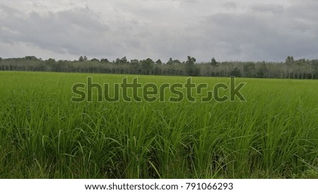 good of landscape and farm