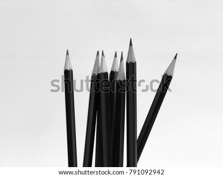 Bunch of black pencil isolated on white background , black and white tone.