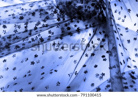 Blue lace on a white background. This net lace is for those who want to go outside the box. Raise the top pieces to drop the bra and trousers for your design, applying this texture will be the first