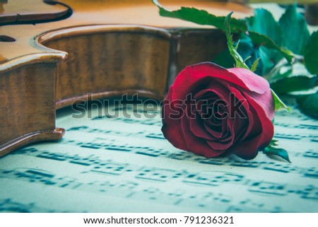 Valentine's day / eternal love or special occasion concept : Real fresh single red rose on stradivarius type violin on blurred musical notes in a romantic love song sheet music. Retro sepia tone color