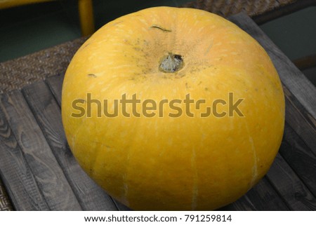 Pumpkin at a table