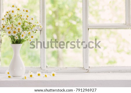chamomile in vase on windowsill Royalty-Free Stock Photo #791296927