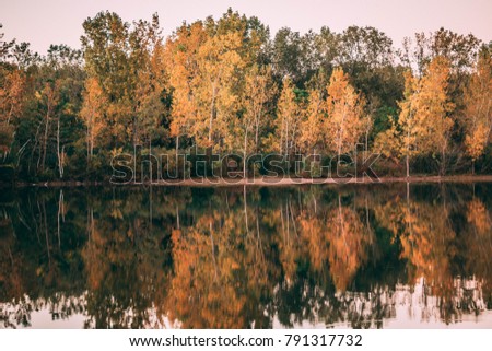 Beautiful fall forest across a still as glass pond: Stunning Reflection on Calm Water: Fall 2017: Ontario Canada 