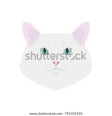 Turkish Angora cat isolated on white background vector illustration