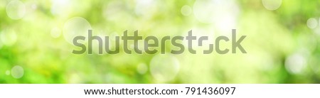 Green abstract panorama background with bokeh for spring and easter decorations
