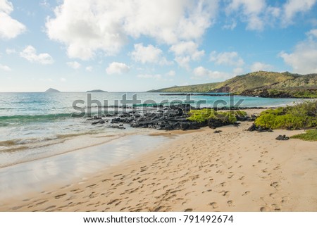 A Landscape view of the beach at Punta Cormorant, Floreana Island. Galapagos Royalty-Free Stock Photo #791492674