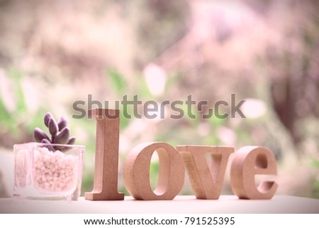 Wooden letters word "LOVE" and cactus on wooden floor.Love text in nature garden.Use for Valentine day and vintage style concept background.Wooden alphabets & Words.Copy space.