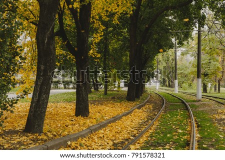 Railway or tramway track near beautiful autumn warm dry city park, bright warm fall colors, yellow leaves