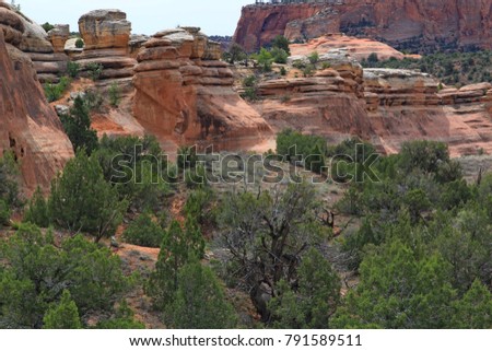 Colorado National Monument preserves one of the grand landscapes of the American West. 