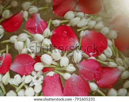 Songkran background with rose petals and jasmine on water surface. Concept image for Songkran festival or authentic Thai food. (close up, top view)