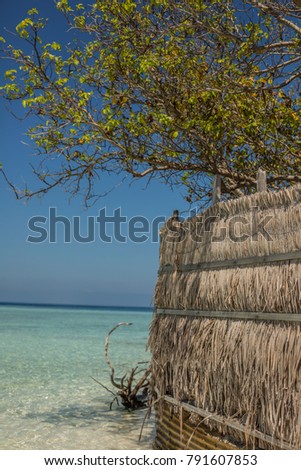Perfect sunny day in Maldive Atolls with bright sun, turquoise ocean water around, bright green tree leaves and white sand
