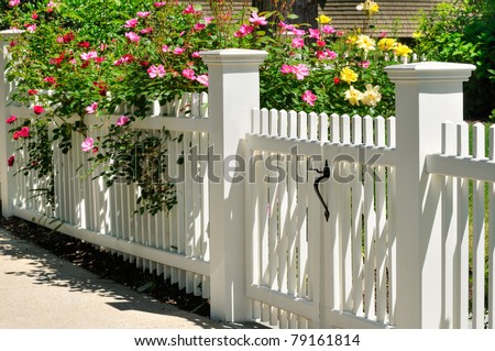 Gate, fence and climbing roses. Colorful spring background, home entrance, curb appeal Royalty-Free Stock Photo #79161814