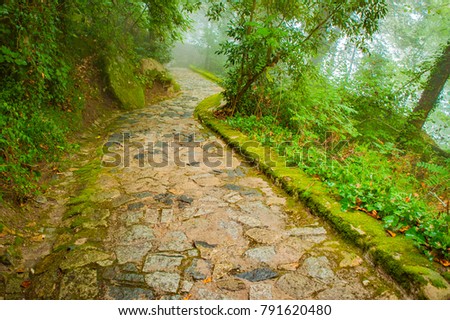 Portugal, Sintra, Hiking moutain path in the fog, forest near Lisbon  Royalty-Free Stock Photo #791620480